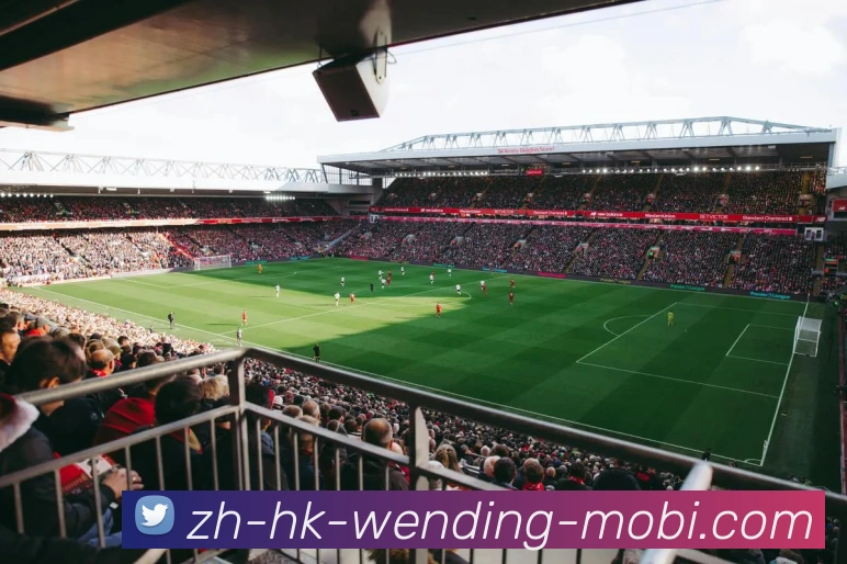 WENDINGAPP 体育赛事宣传图